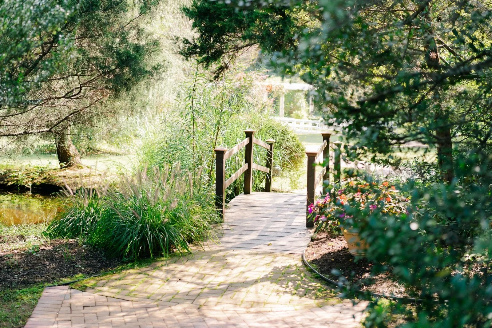 Bridge and foliage at Historic Jasmine's garden wedding venue in VA