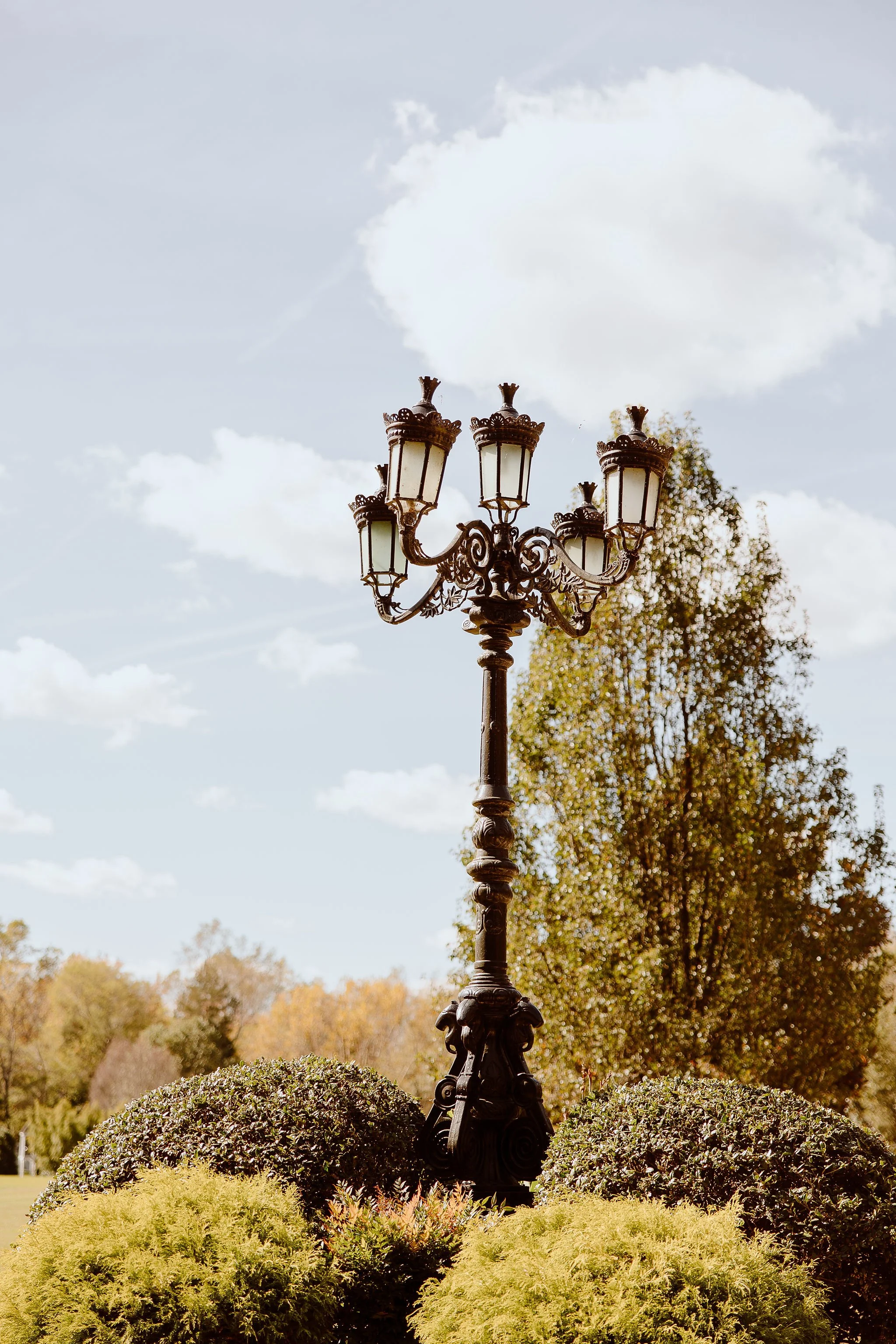 Karlie Whitt Photography_Eversole (2).jpg