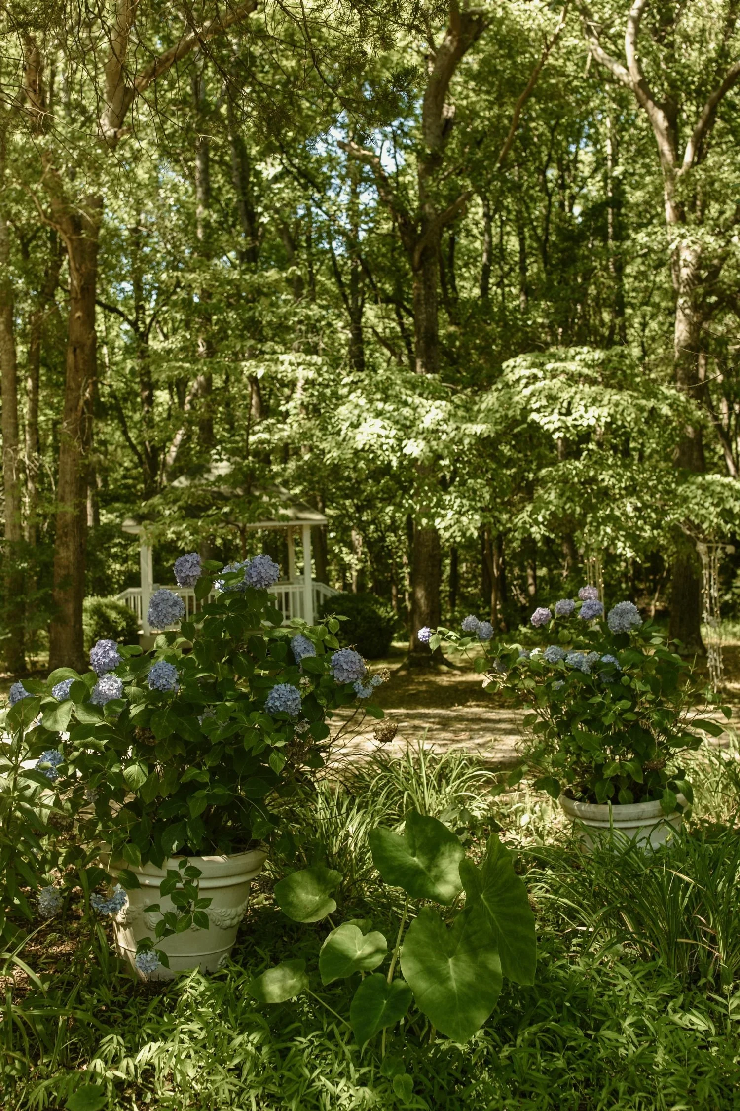 Garden whimsy on display in the hydrangea garden located at Historic Jasmine, a private garden wedding venue near Richmond, Virginia. 