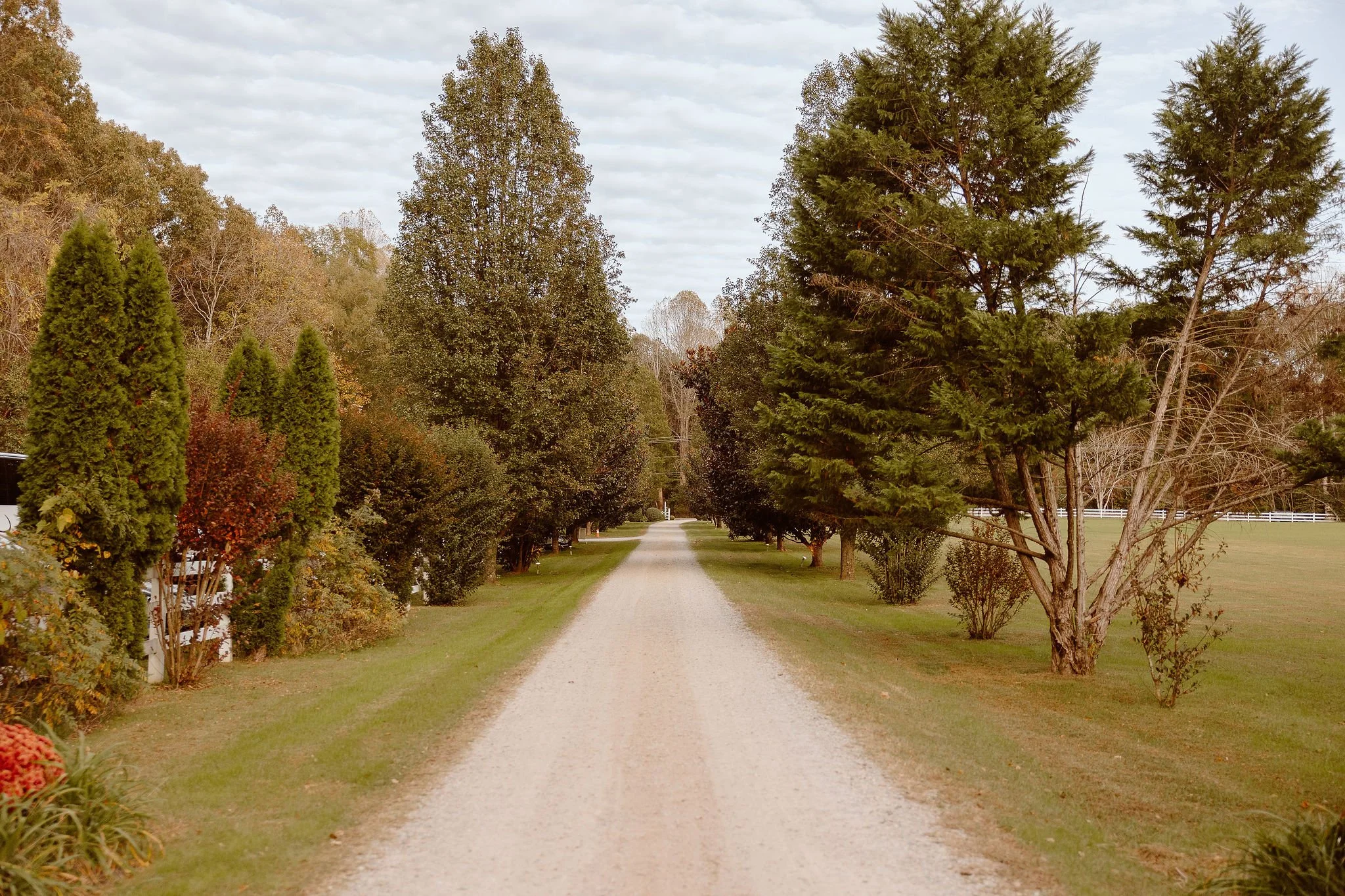 Karlie Whitt Photography_Eversole (330).jpg