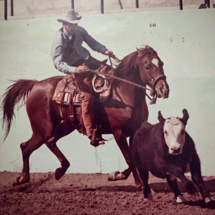 #fbf 16 years old - Riding Wagner Bred Arab Mare &ldquo;Meissa&rdquo; working #cowhorse circa 1981. #horsemanship #horsetrainer #horsesofinstagram #slocal #flashbackfriday #cowboy #arabianhorse #enjoyslo