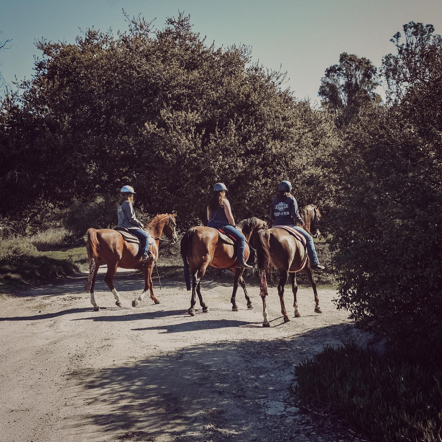 Of all the paths in life, the Road Home is the most magnificent... #mindset #mindfulness #horsebackriding #horsetraining #horselife #ranchlife #journey #empowered #arabianhorse #slolife #visitslo #visitcalifornia #trailride #ranchliving #horseranch #