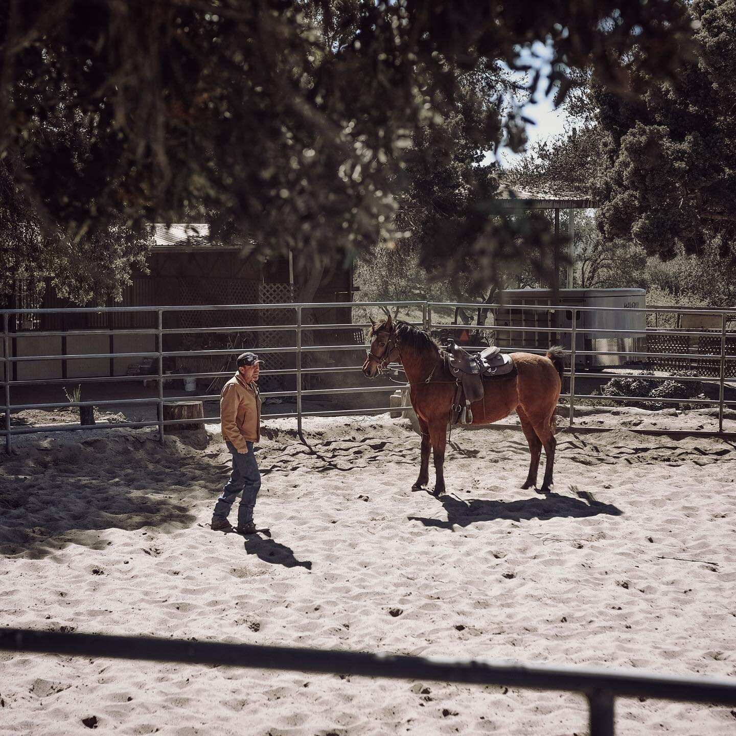 &ldquo;Live in the #present, launch yourself on every wave, find eternity in each #moment.&rdquo; - Henry David Thoreau #horsetrainer #horsemanship #horsesofinstagram #arabianhorse #horse #ranchlife #slohorses #visitslo #slocal #visitcalifornia #hors