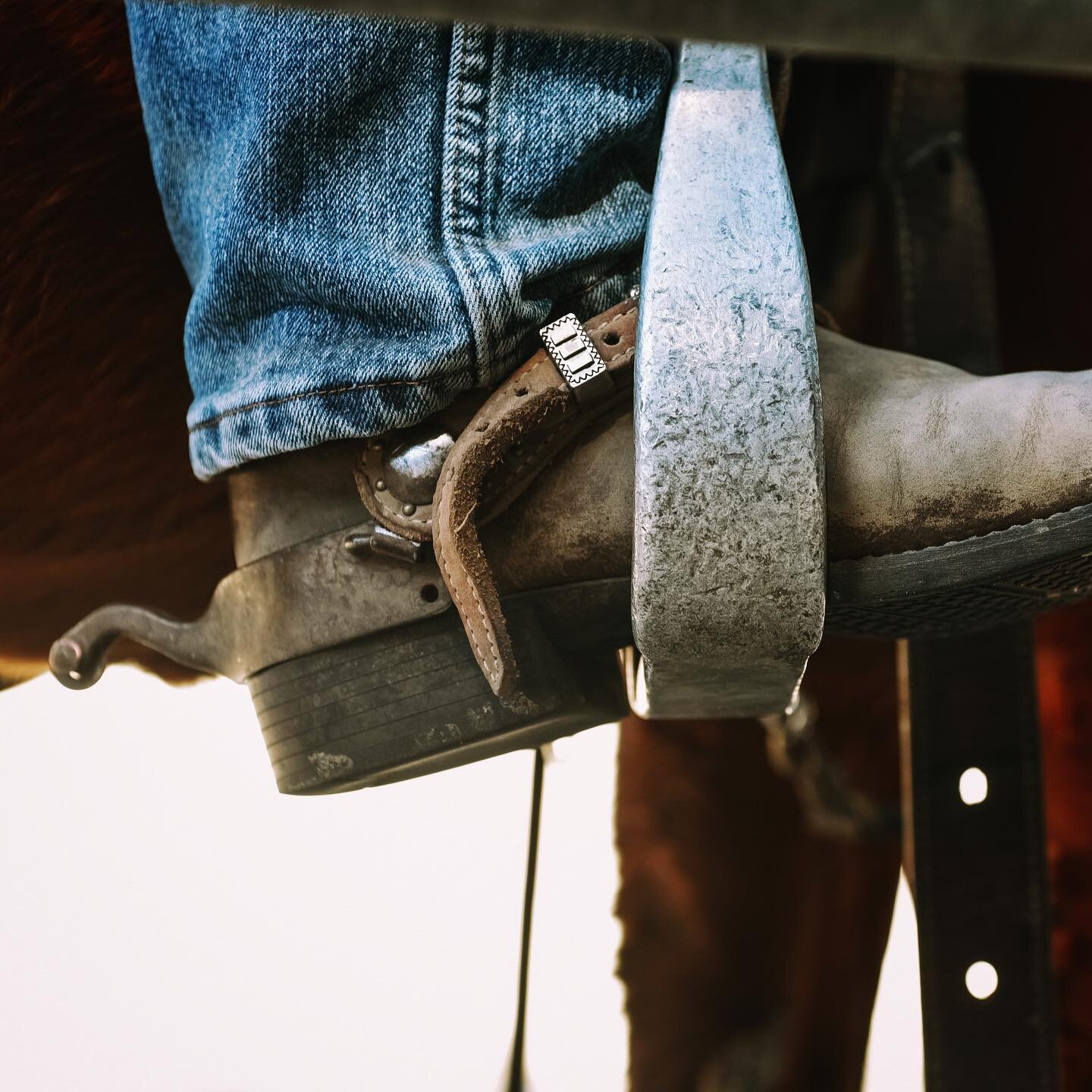 &ldquo;In every walk with nature, one receives far more than he seeks.&rdquo; - John Muir #horsetrainer #horsemanship 📷 @seachangestudio