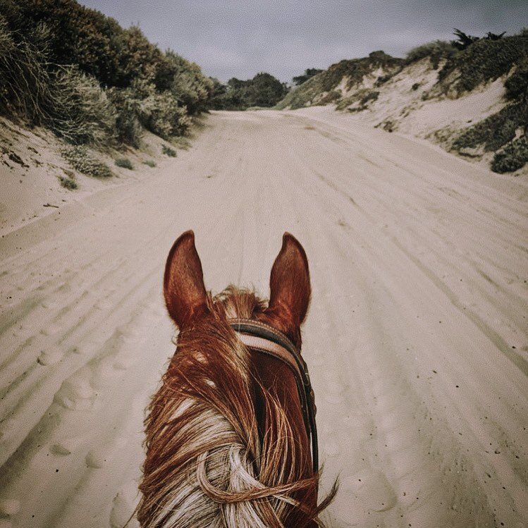 On the path to the good stuff. WR rider 📷 @elaniesmit in her element with Jazzi ⚡️#horsegirlenergy #spiritanimal #horsemanship #horsebackriding #visitslo #slocal #centralcoast #sanluisobispo #805living