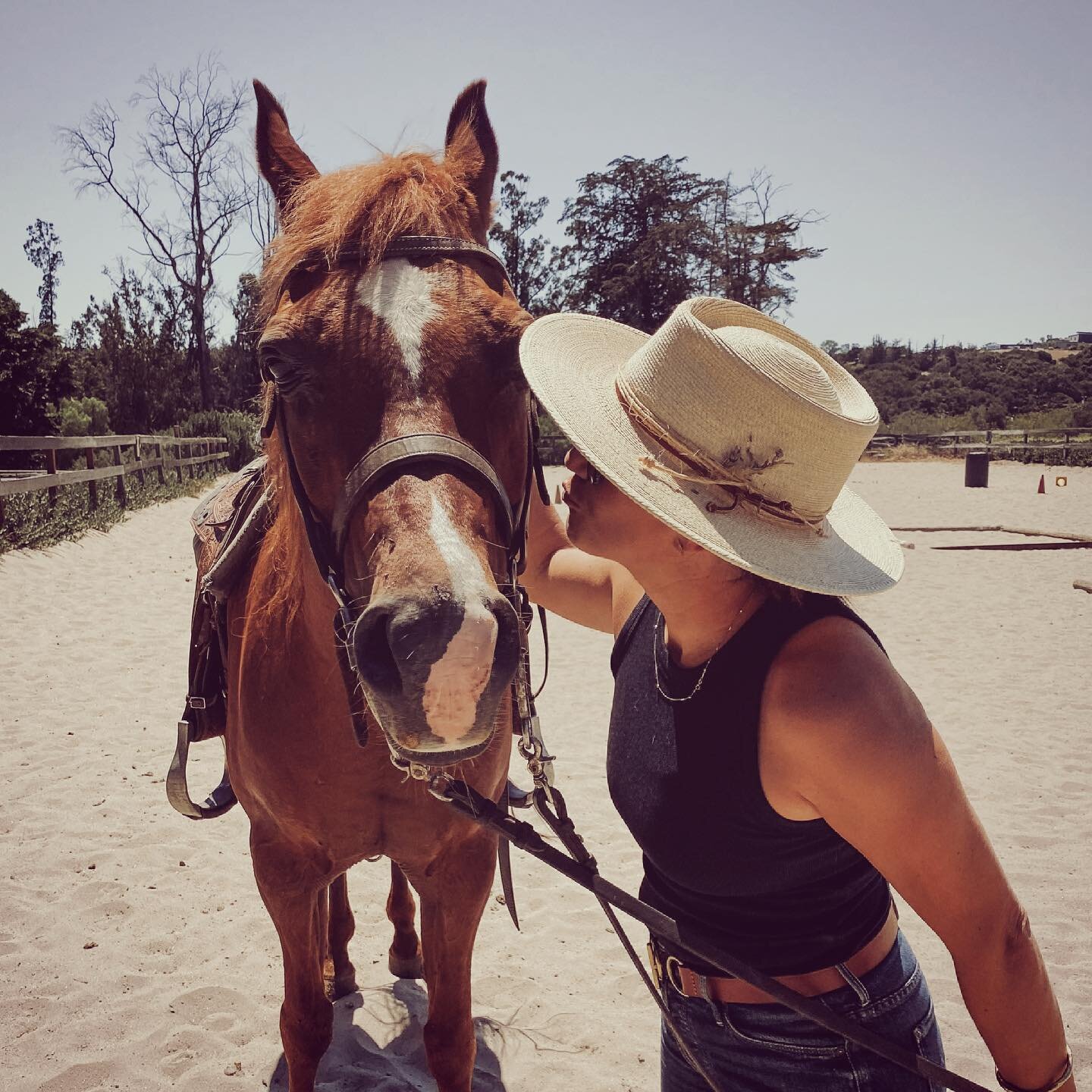 New WR rider in the wild @ranchoprefumocabin loving ⚡️Panache. #cowgirl #spiritanimal #horsegirl #horsemanship #slocal