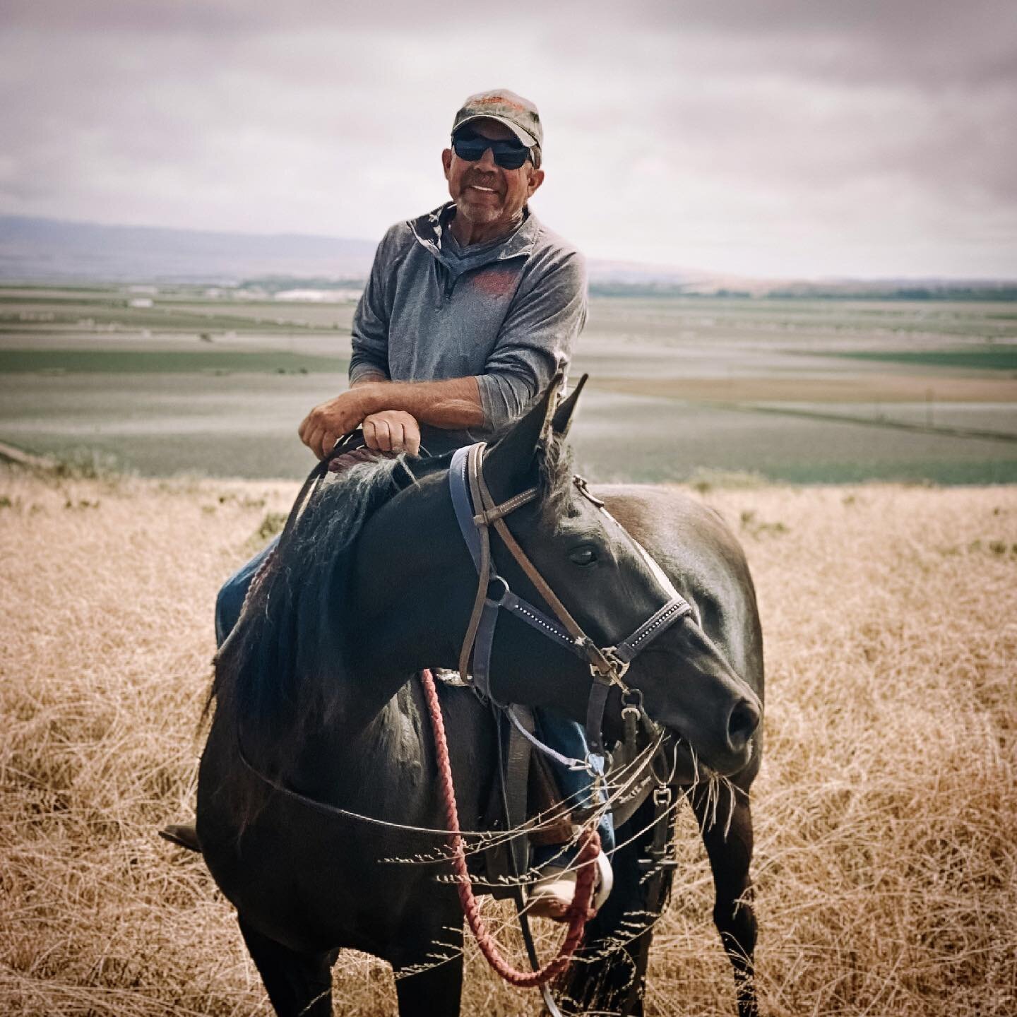 The Trail Blazer. ⚡️ #horsetrainer #horsemanship #trailride #horsesofinstagram #slocal