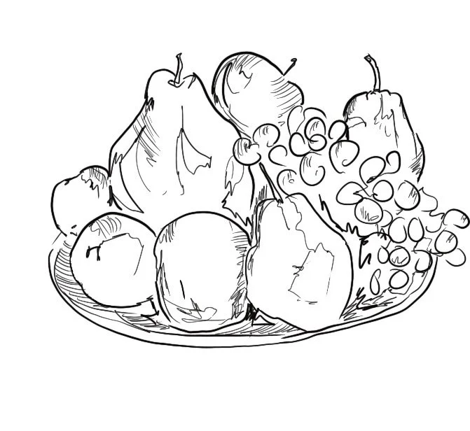 fruit + vegetables