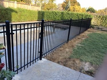 5' high silver eagle.jpg