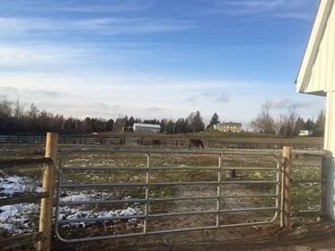 cedar post barn gates.jpg