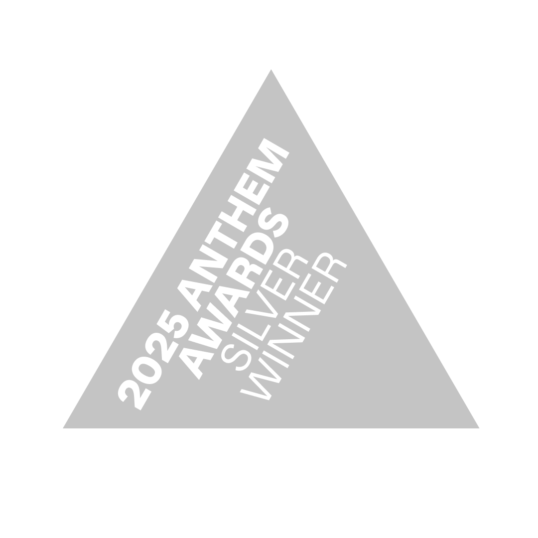 Survivor Made Anthem_2025_silver_winner_icon.png