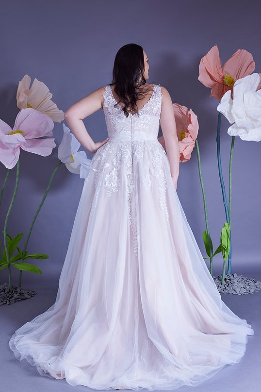 WSP049-back.jpg