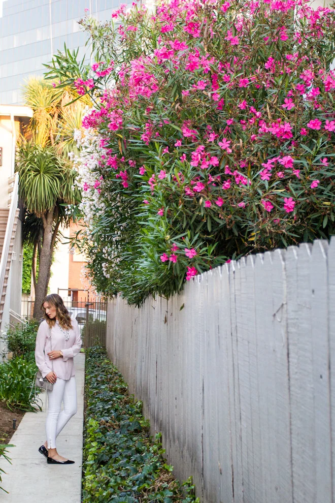 Pre-Fall Predicament