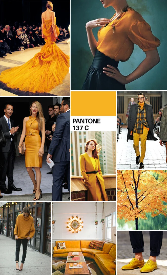 Color Code / Saffron