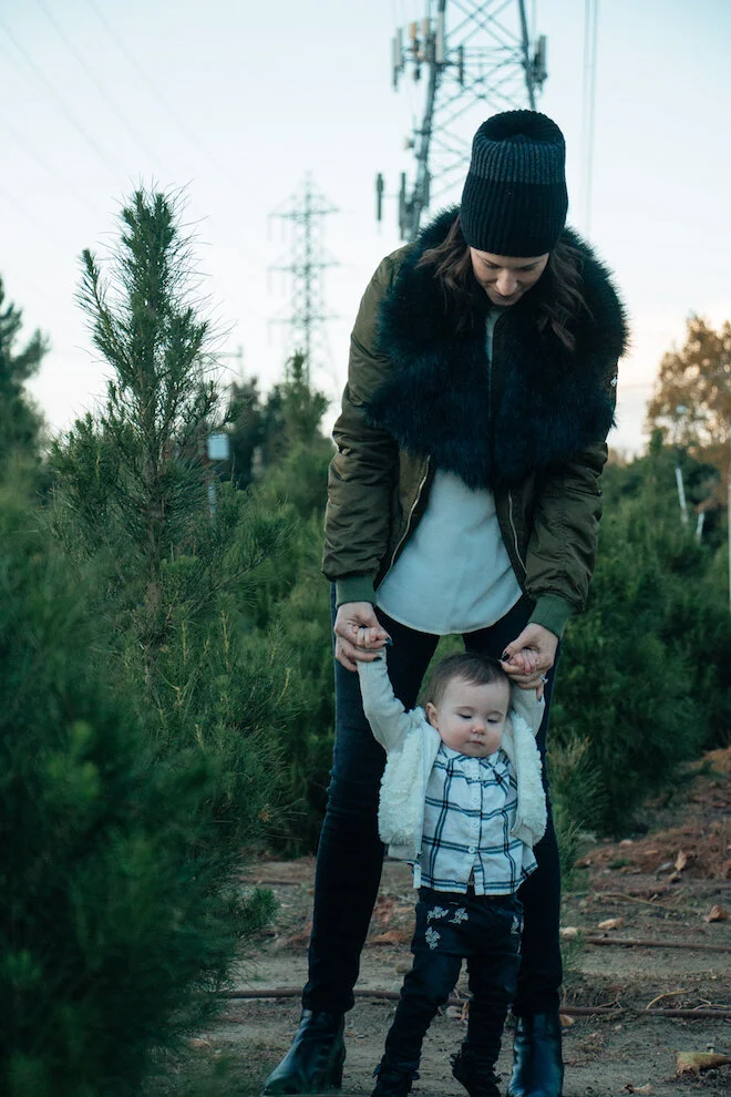 Holidays In Progress