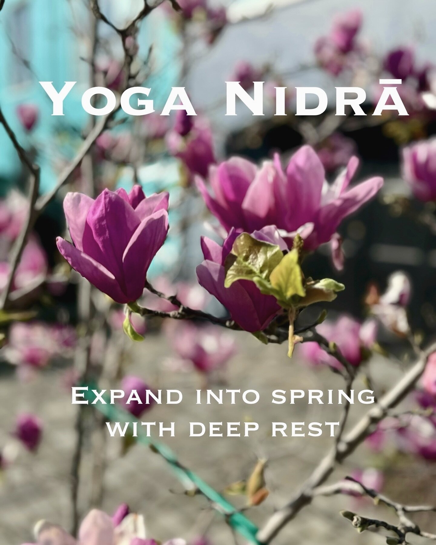Did you know every Thursday at 10am you can drop in to an in-person Supreme Release Yoga (SRY) class at the studio with me?

Each month we have a theme and for March we are exploring the elements through Yoga Nidrā 

What is Yoga Nidrā? Yoga Nidrā is
