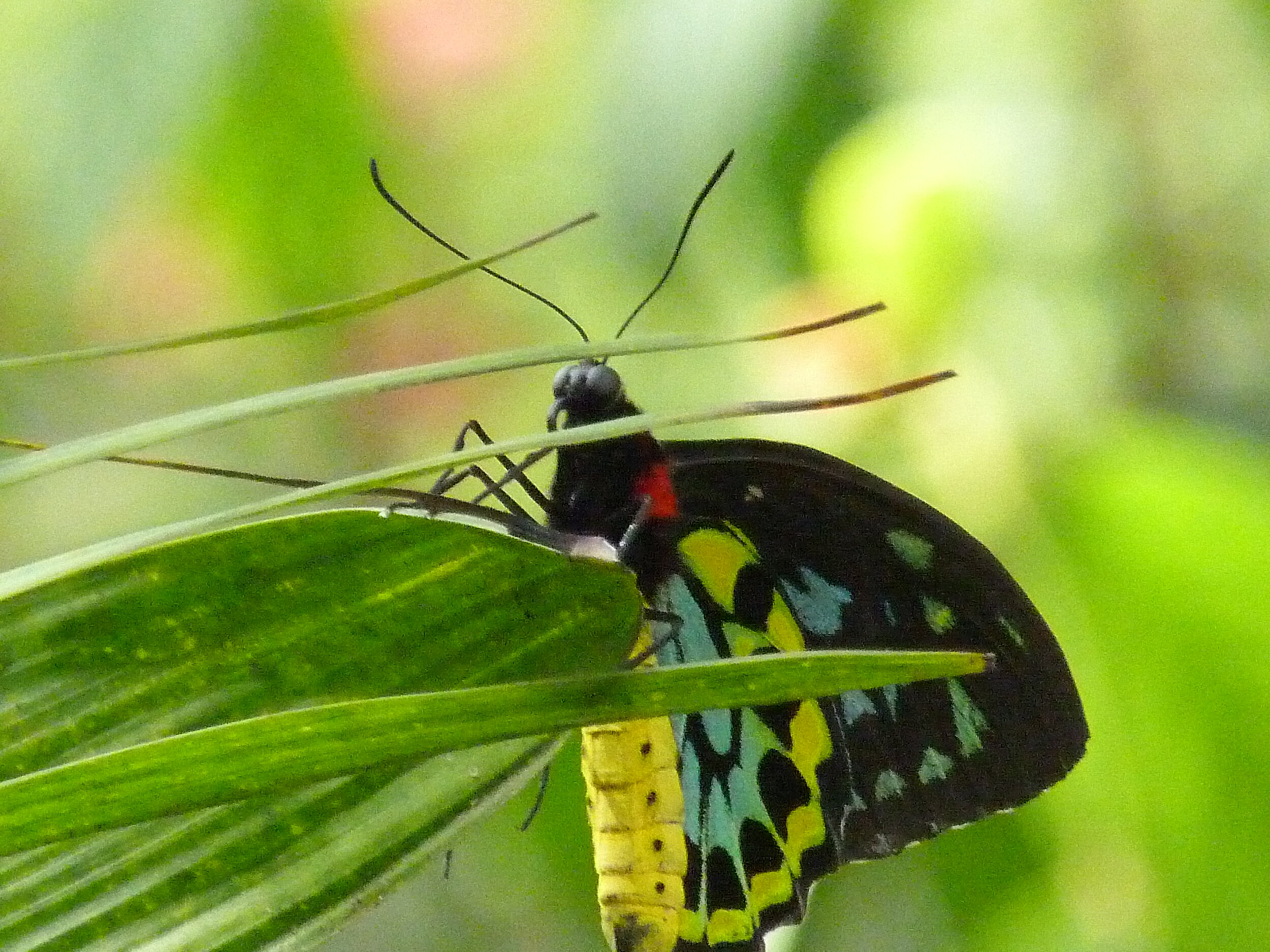 Hanging On - Grayce Cheng