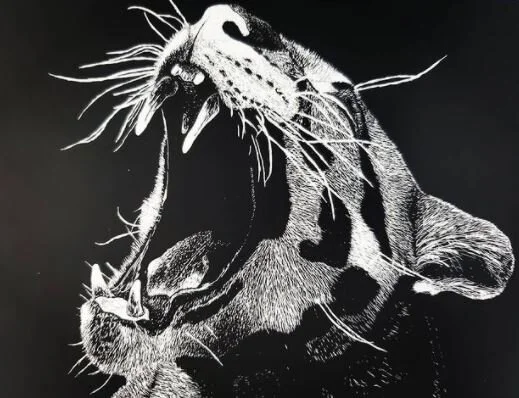 Personal Strength - Lucca Castillo