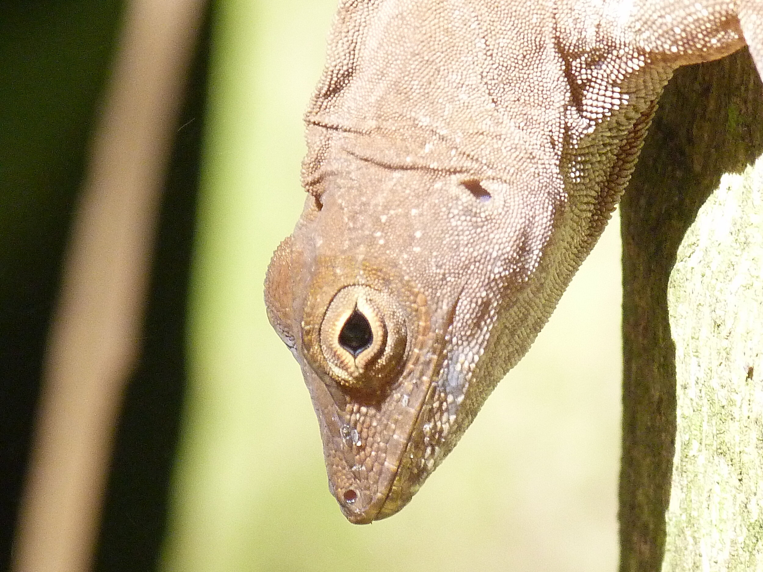 Sun-time - Grayce Cheng