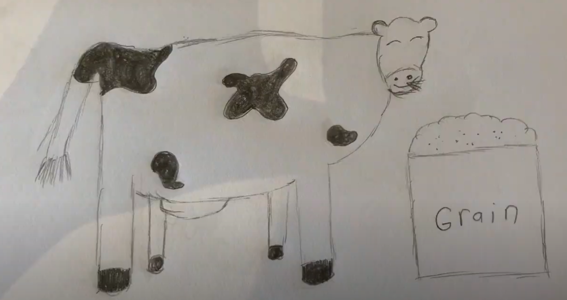 Cow Farts - Aaliyah Asghar