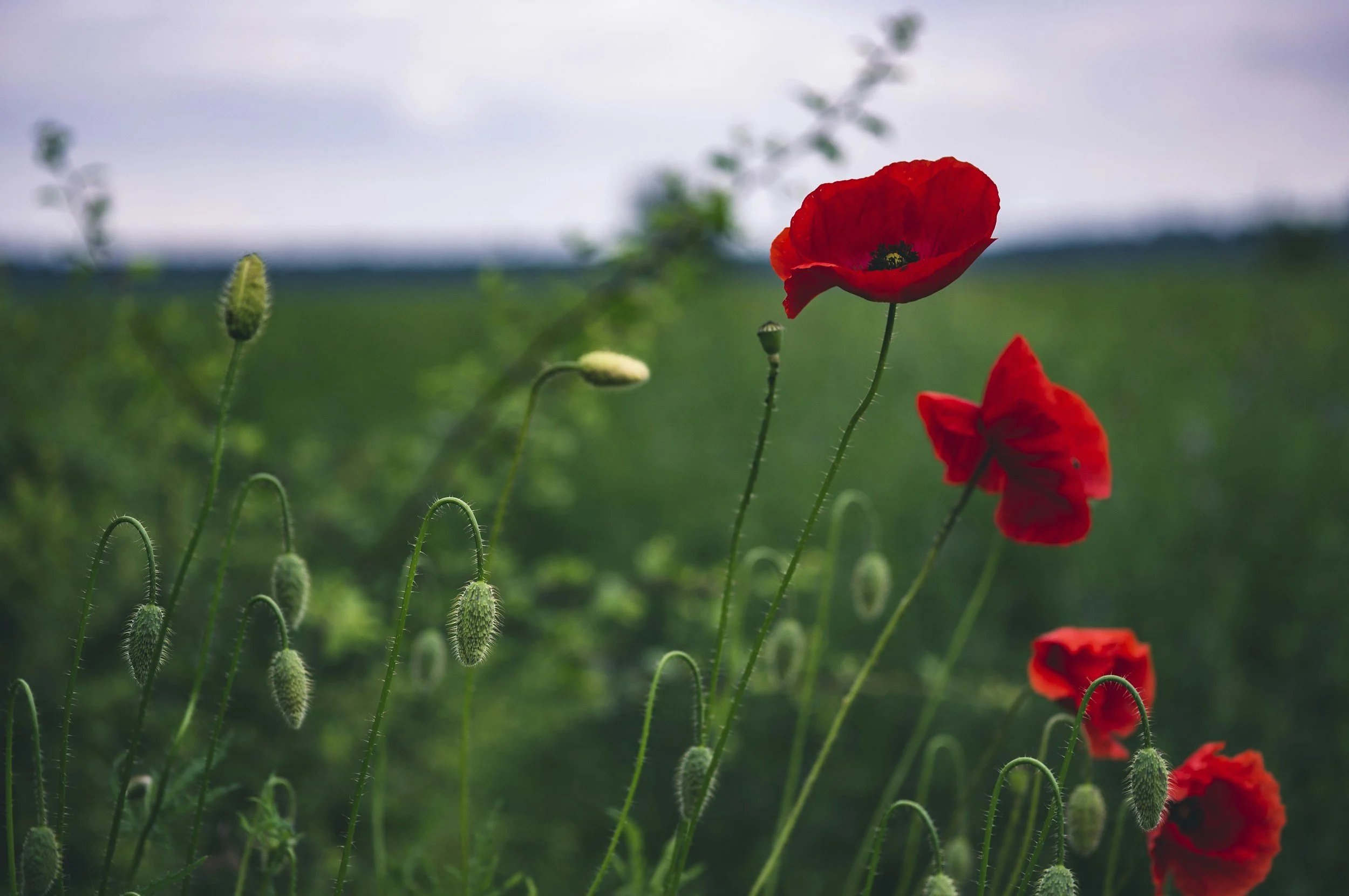 MBSR-Kurs abends ab Mai