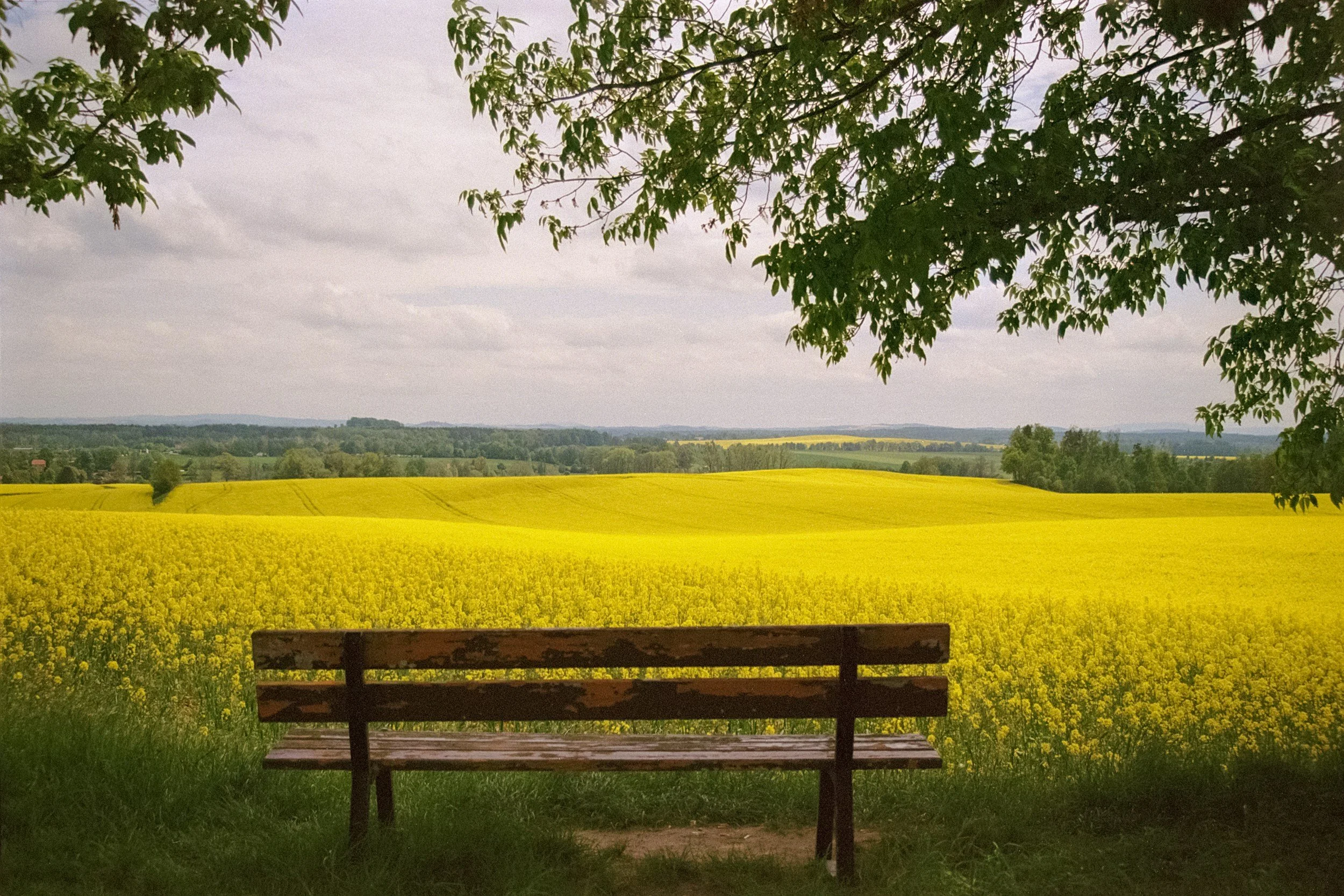 MBSR-Kurs am Vormittag ab Mai