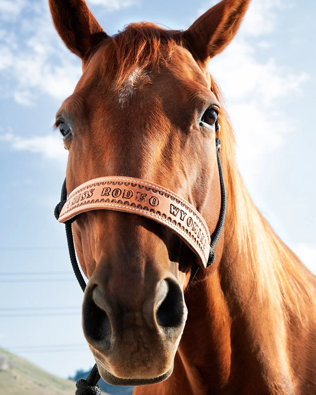 2026_FALL_MISS_RODEO_SOCIAL_CAMPAIGN_4x5_01.jpg