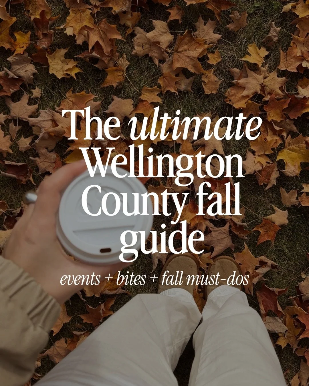 Fall in Guelph and Wellington County is hard to beat. 🍂

From fall fairs and local farm visits to colourful trails, cozy date nights and all the seasonal treats, there is so much to enjoy close to home.

Swipe through for a few of my favourite ways 