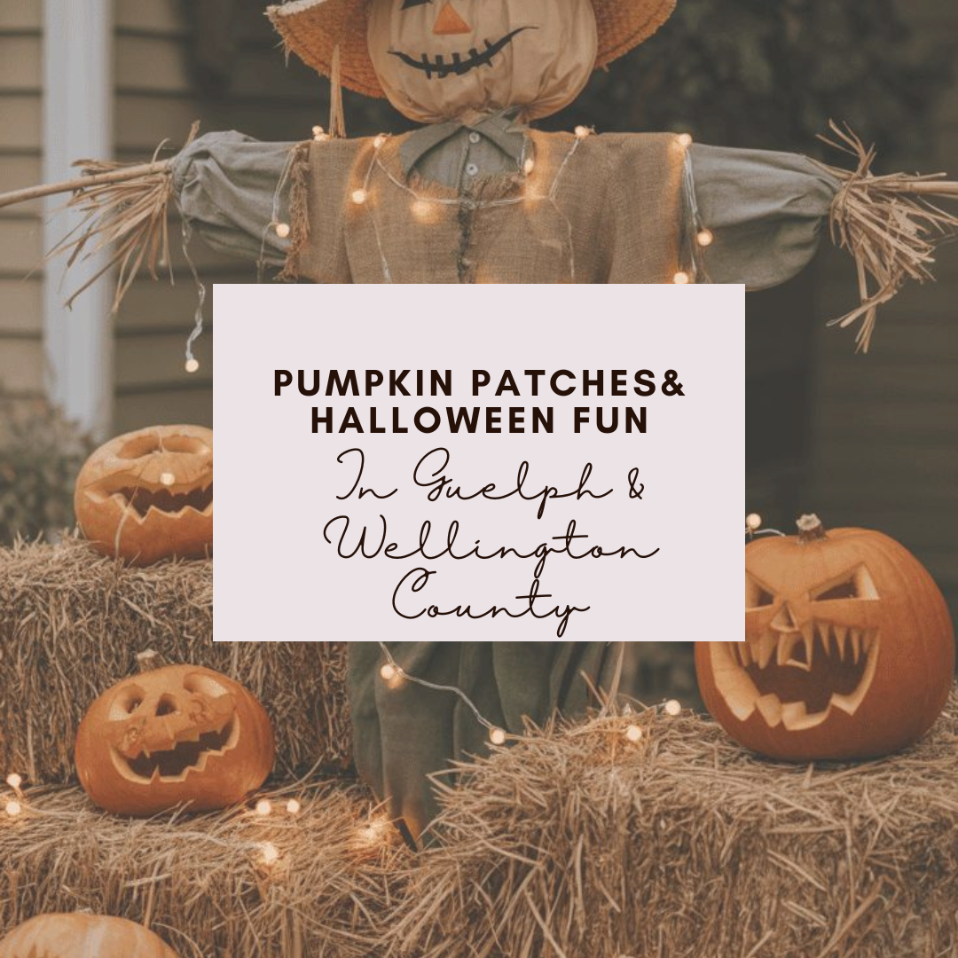 Pumpkin Patches, Halloween Fun &amp; a Big Book Sale in Guelph and Wellington County