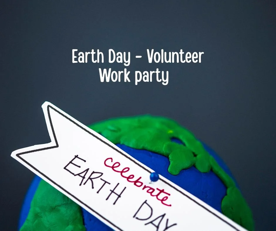 Earth Day – Volunteer Work Party @ Hickory Street Park
