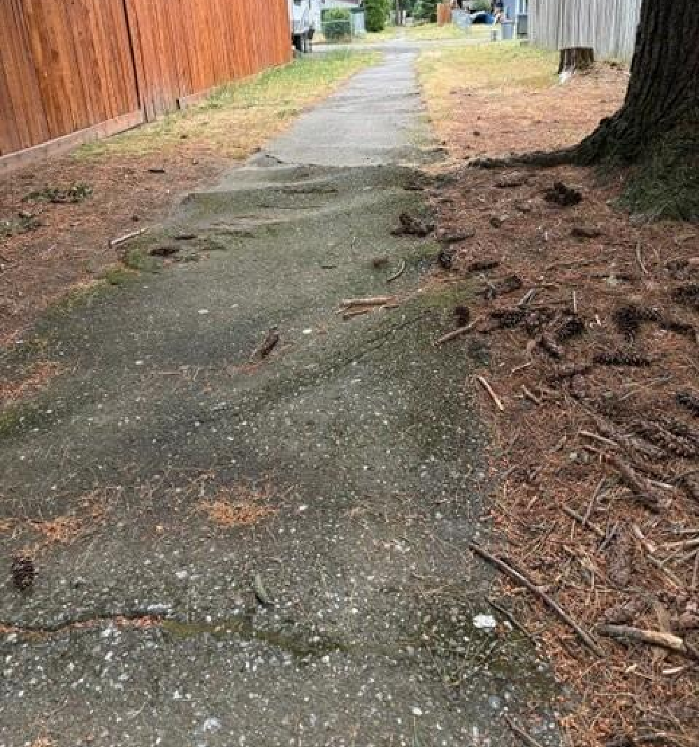 Trail Improvement