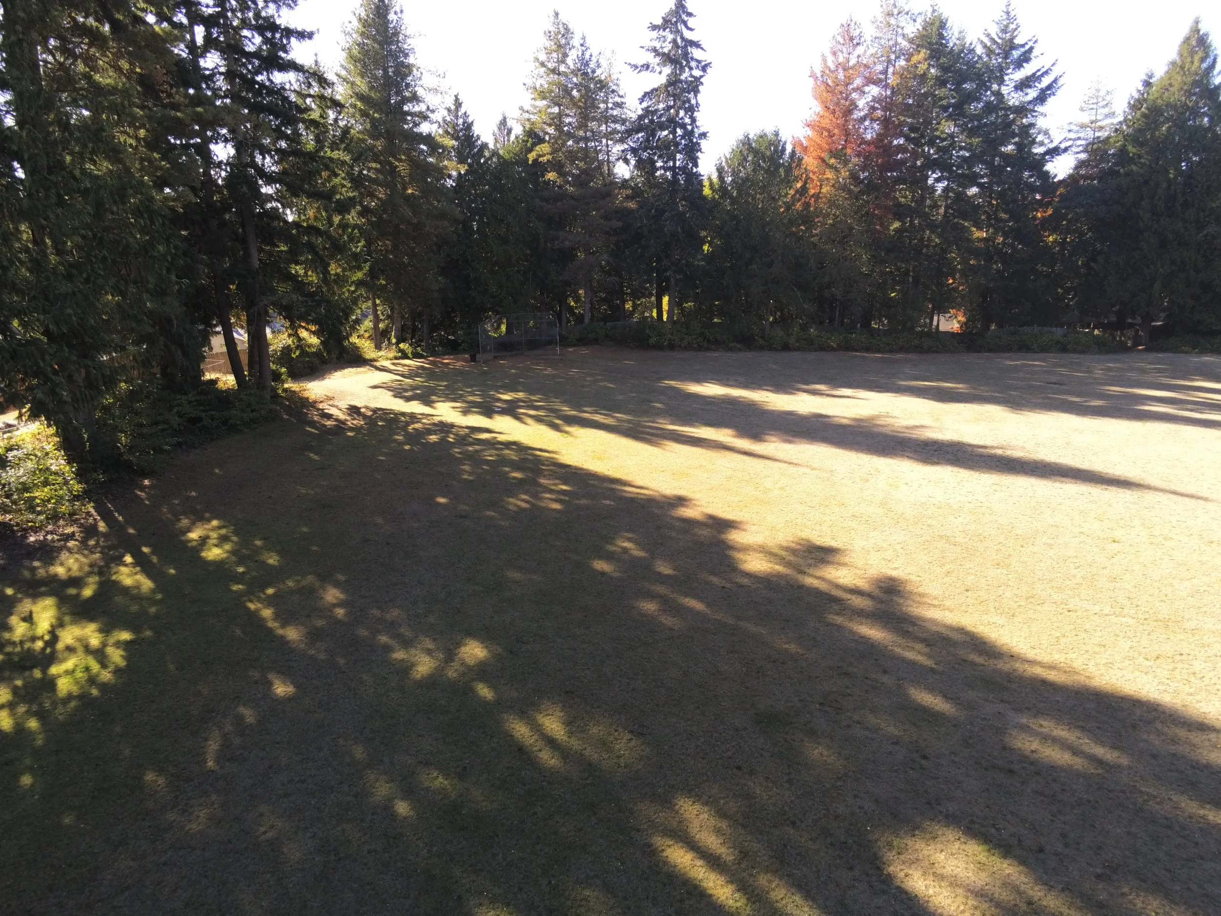 Baseball Field