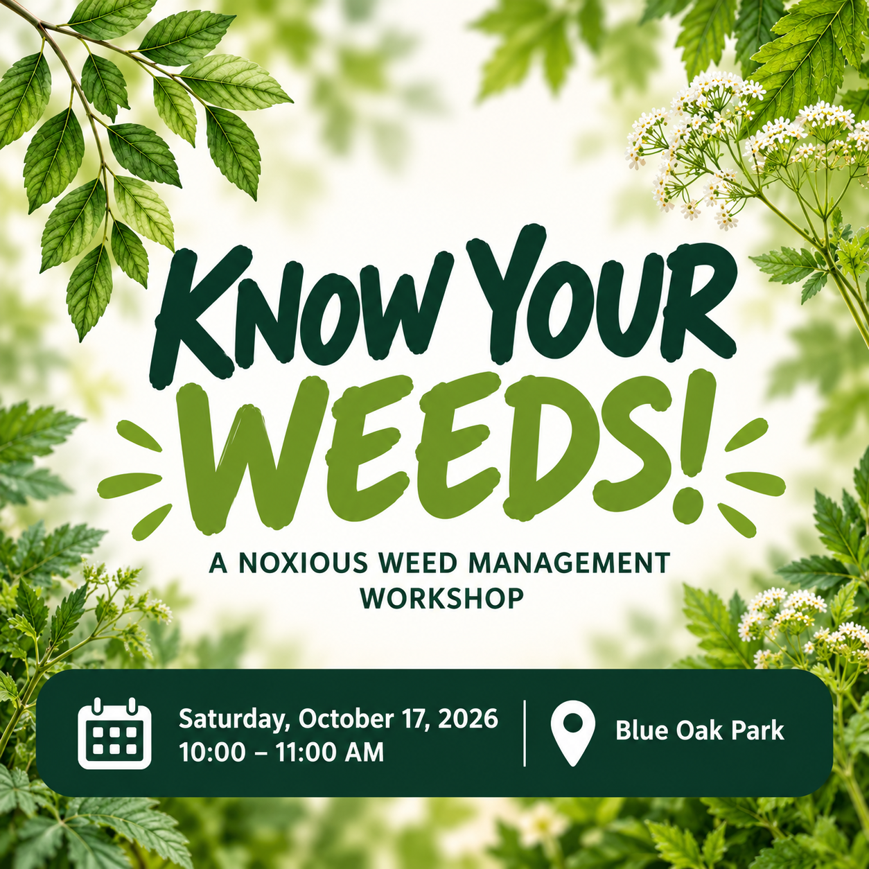 Know Your Weeds workshop coming soon at Blue Oak Park!
