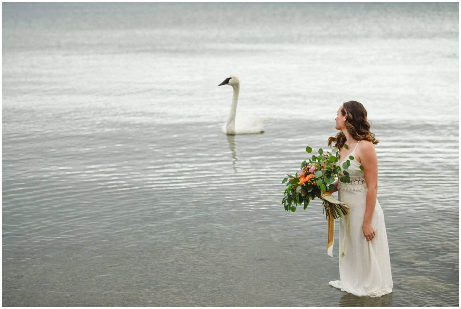 Bride standing in the water looking at a swan Toronto wedding photographer