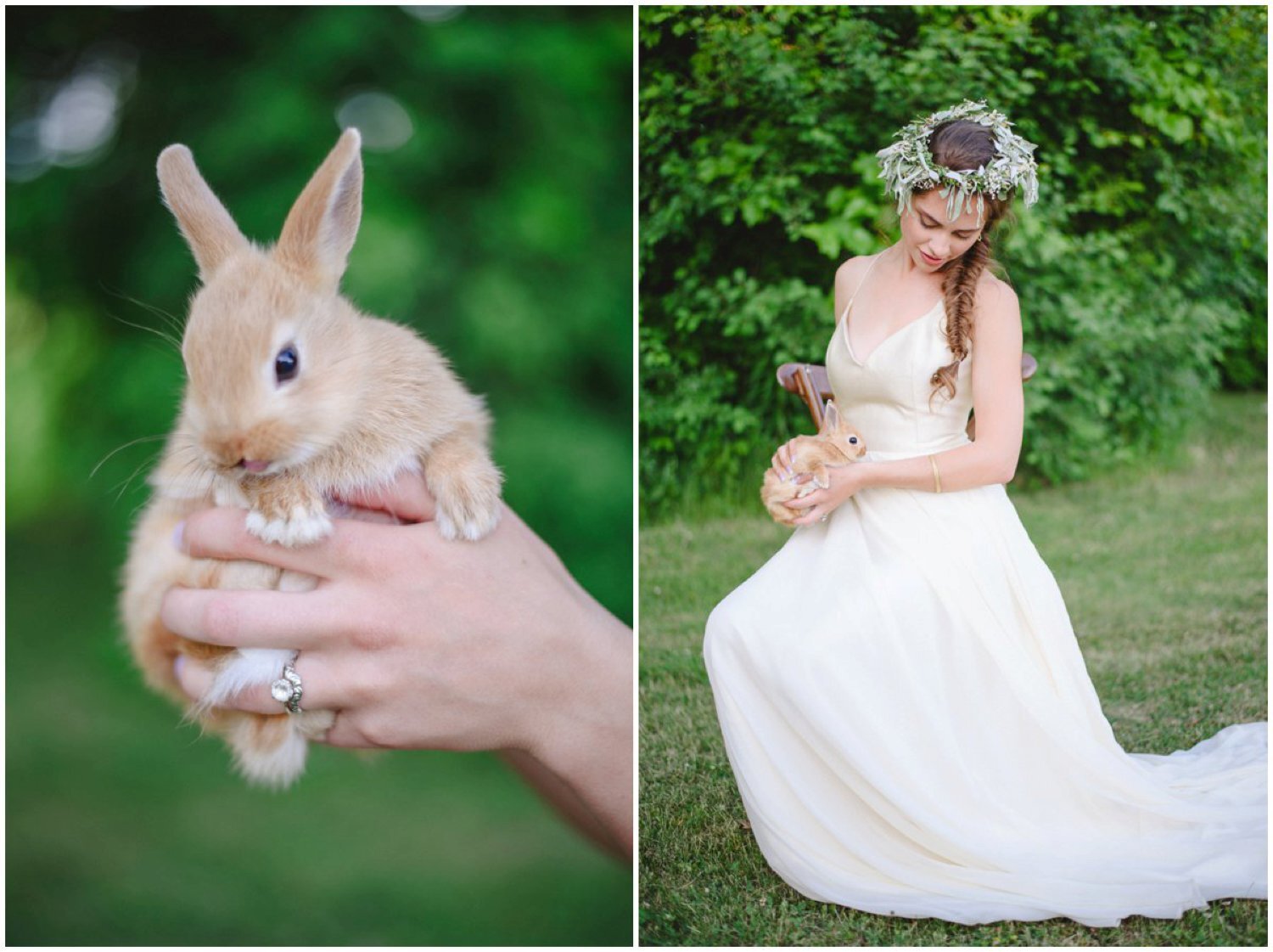 Bride holding dwarf bunny Toronto wedding photographer
