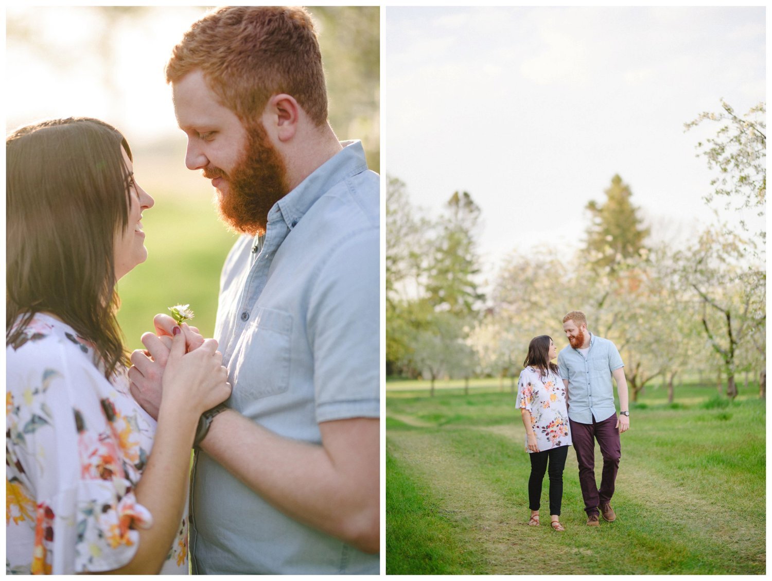 Couple cuddling during Port Rowan cherry blossom engagement session Couple walking hand in hand during Port Rowan cherry blossom engagement session 