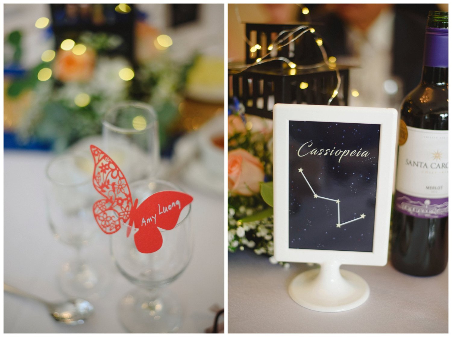 butterfly and constellation decor at Doctor's House Wedding