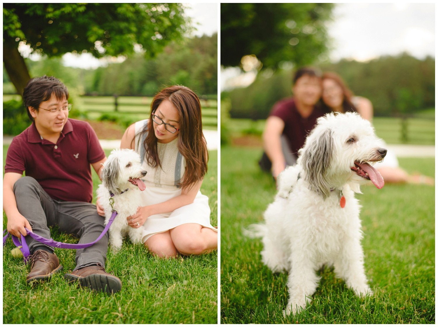 bride and groom sitting with their dog at Dog Tales Sanctuary engagement session