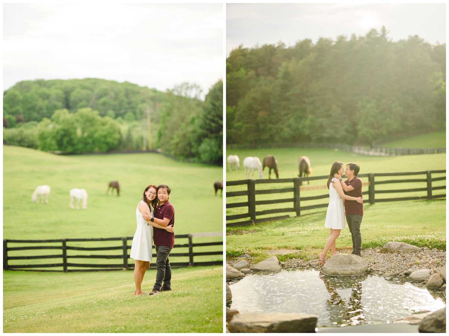 bride and groom standing looking at the horses at Dog Tales Sanctuary engagement session