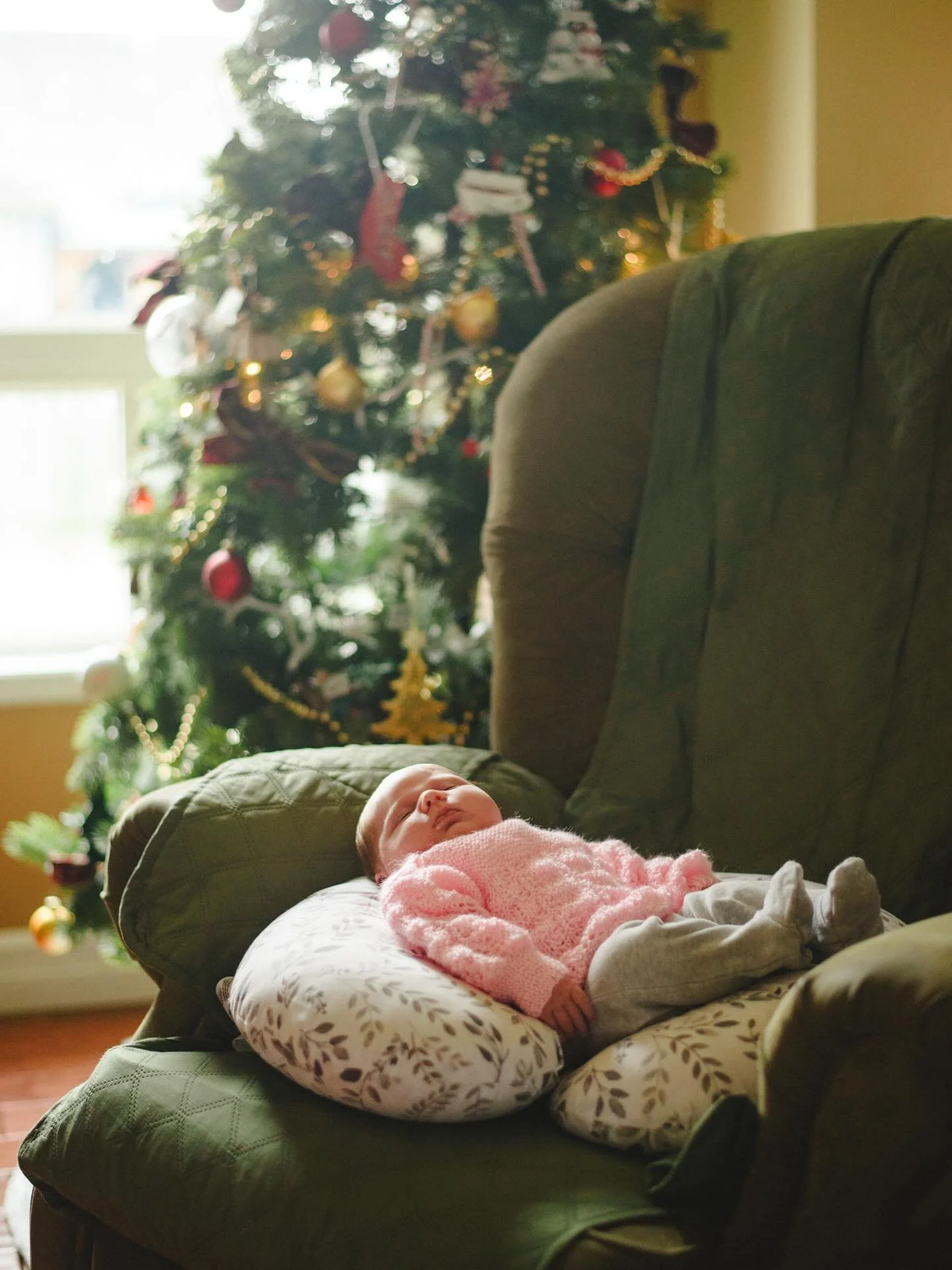 Countdown to Christmas with this fresh to Earth sweetie.