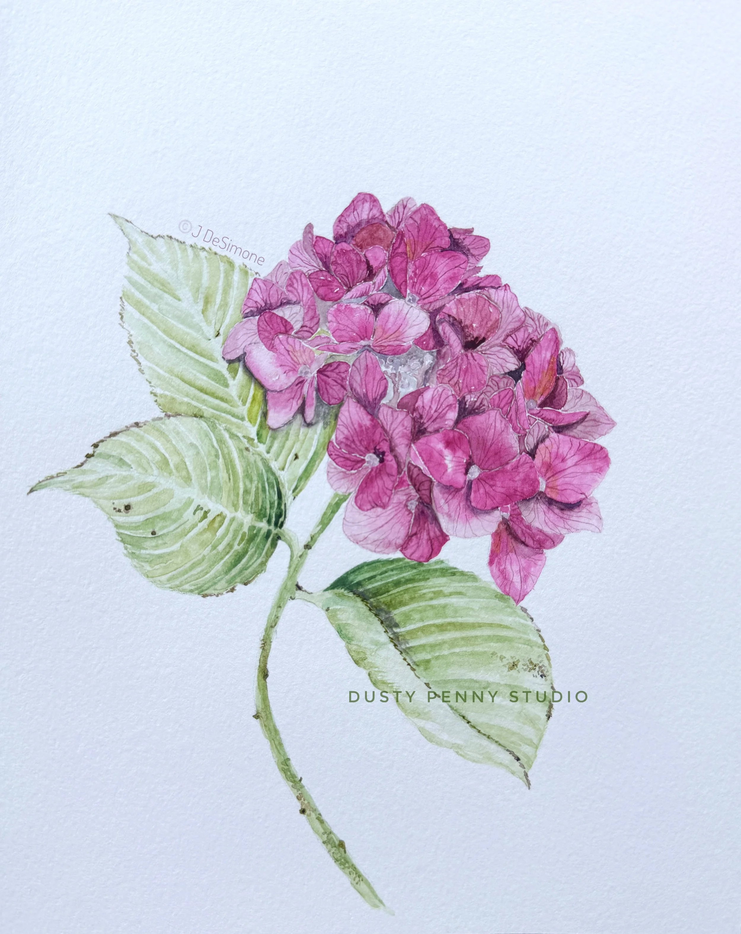 Floral 46