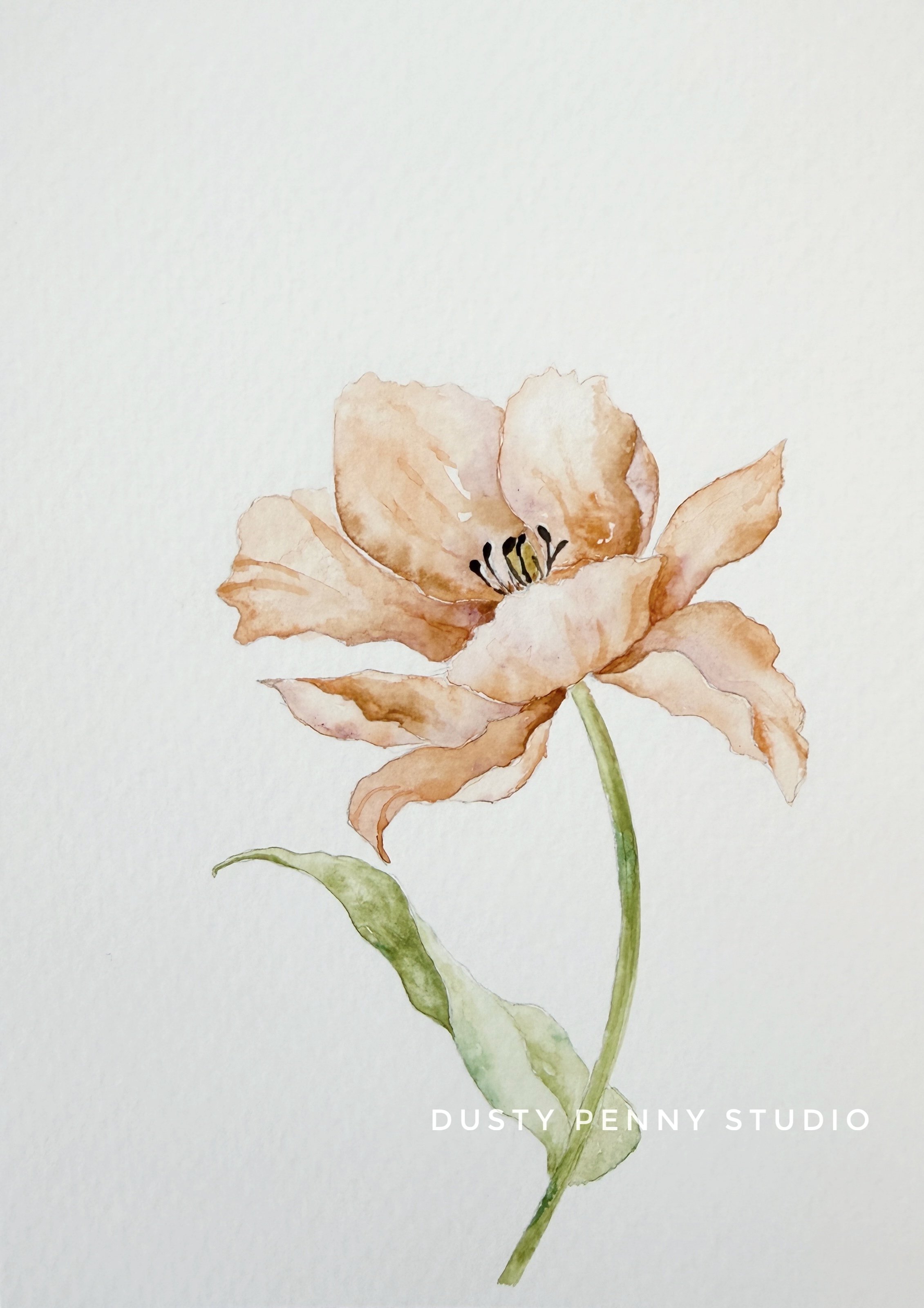 Floral 42