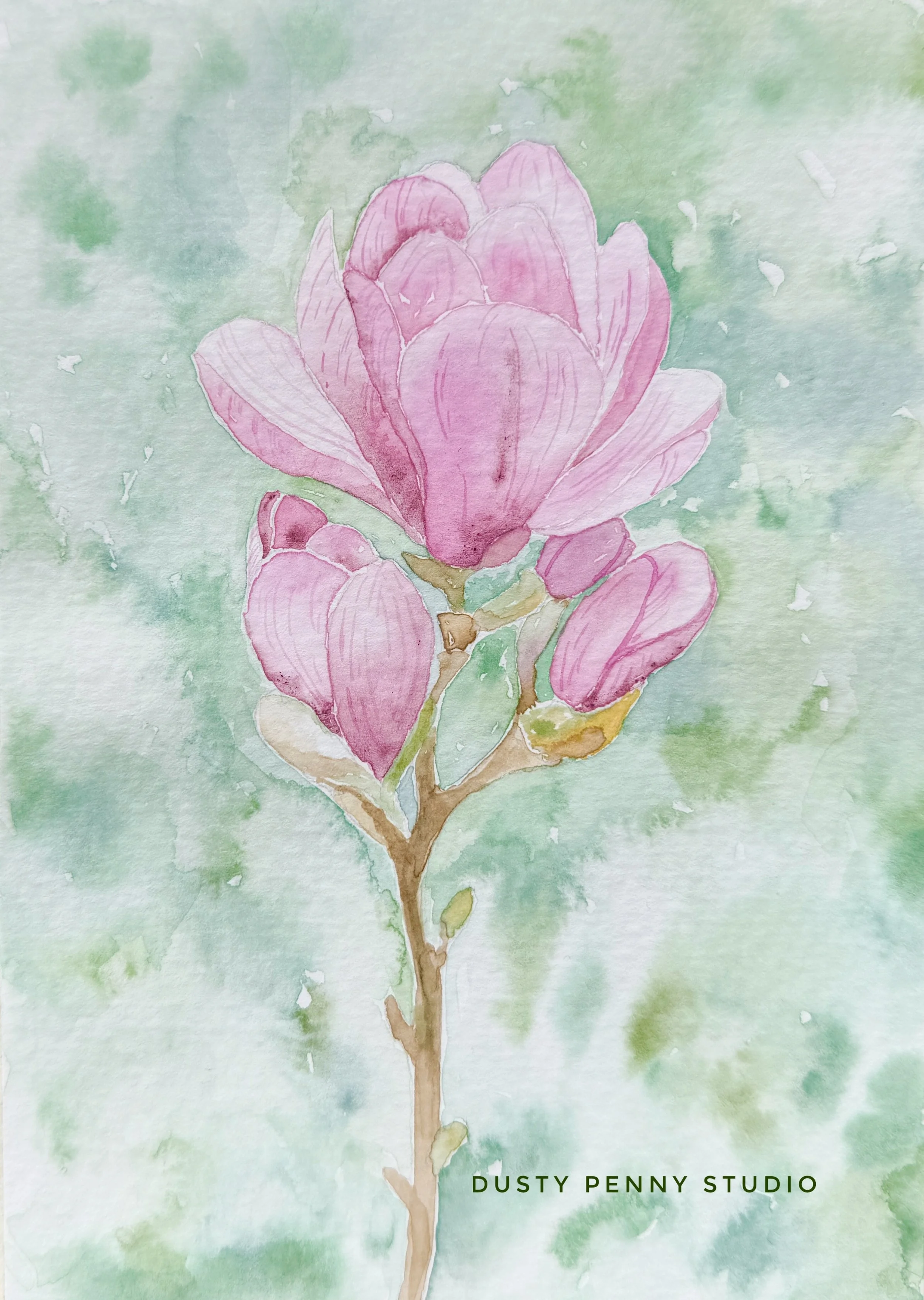 Magnolia