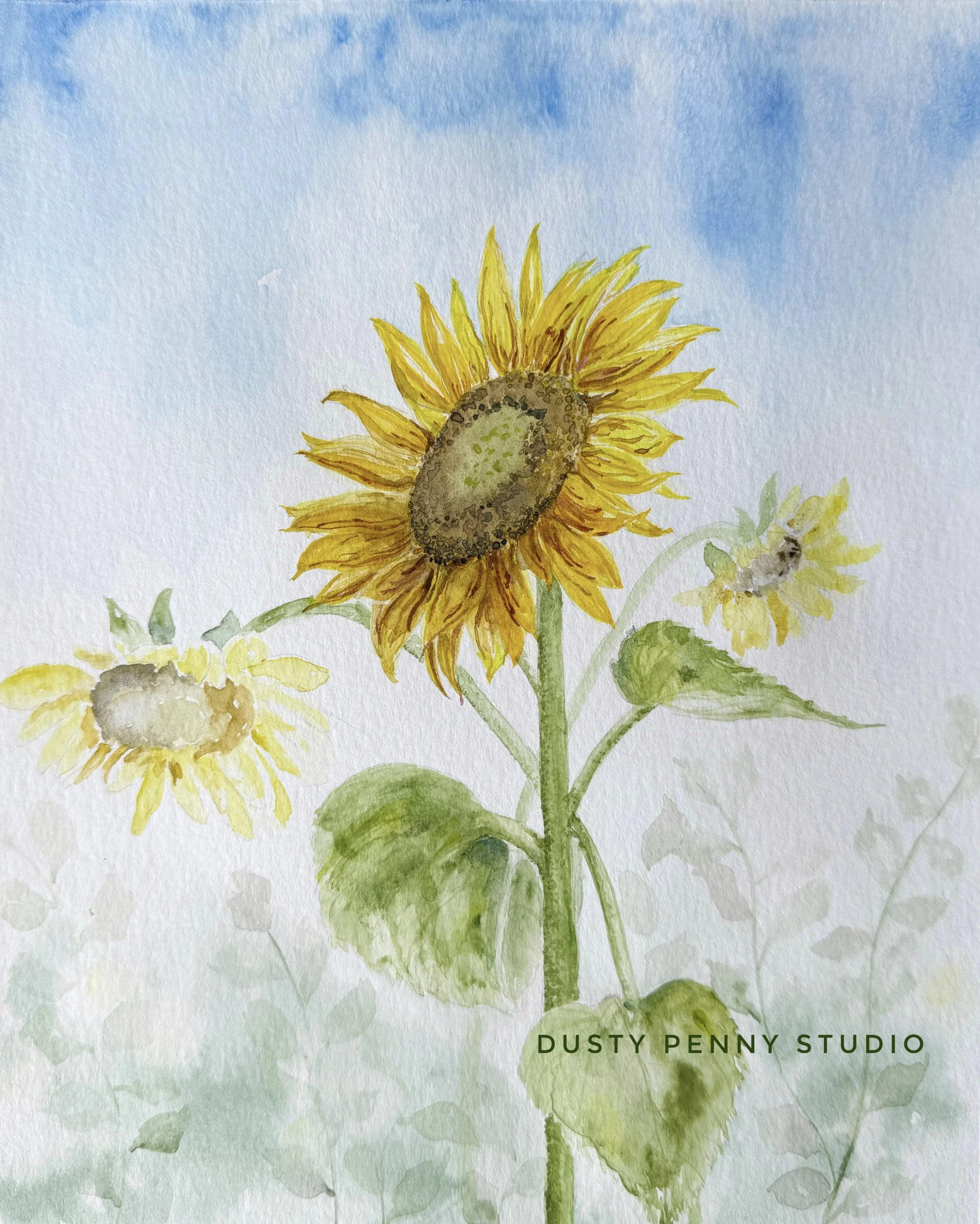Sunflower 2