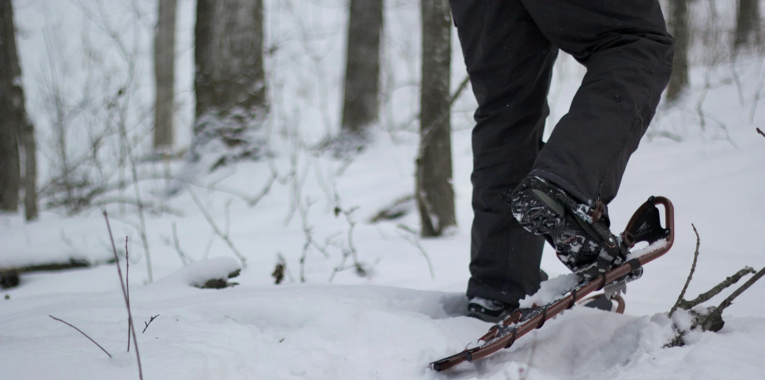 Snowshoeing in Ohiopyle