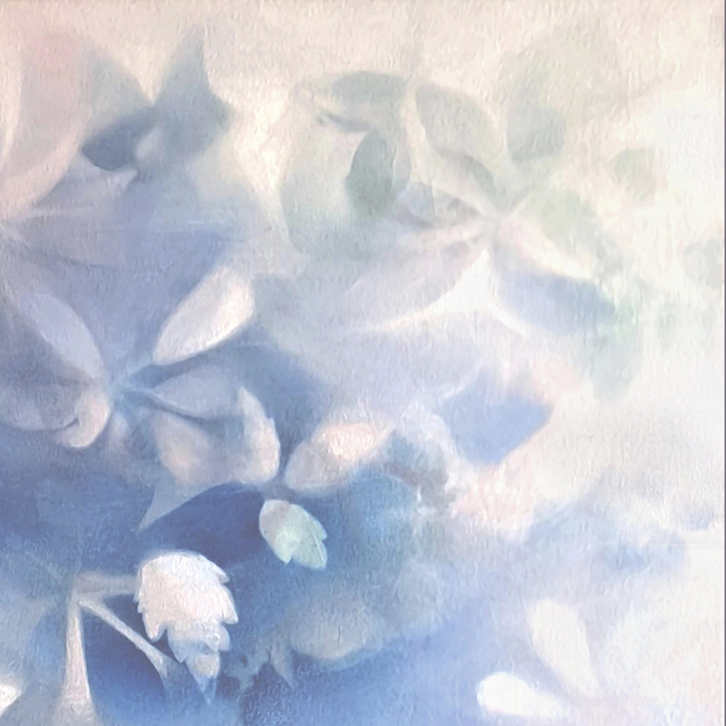 Munchx_Ingrid Louise Lindemann Flora i Perinaldo3.jpg