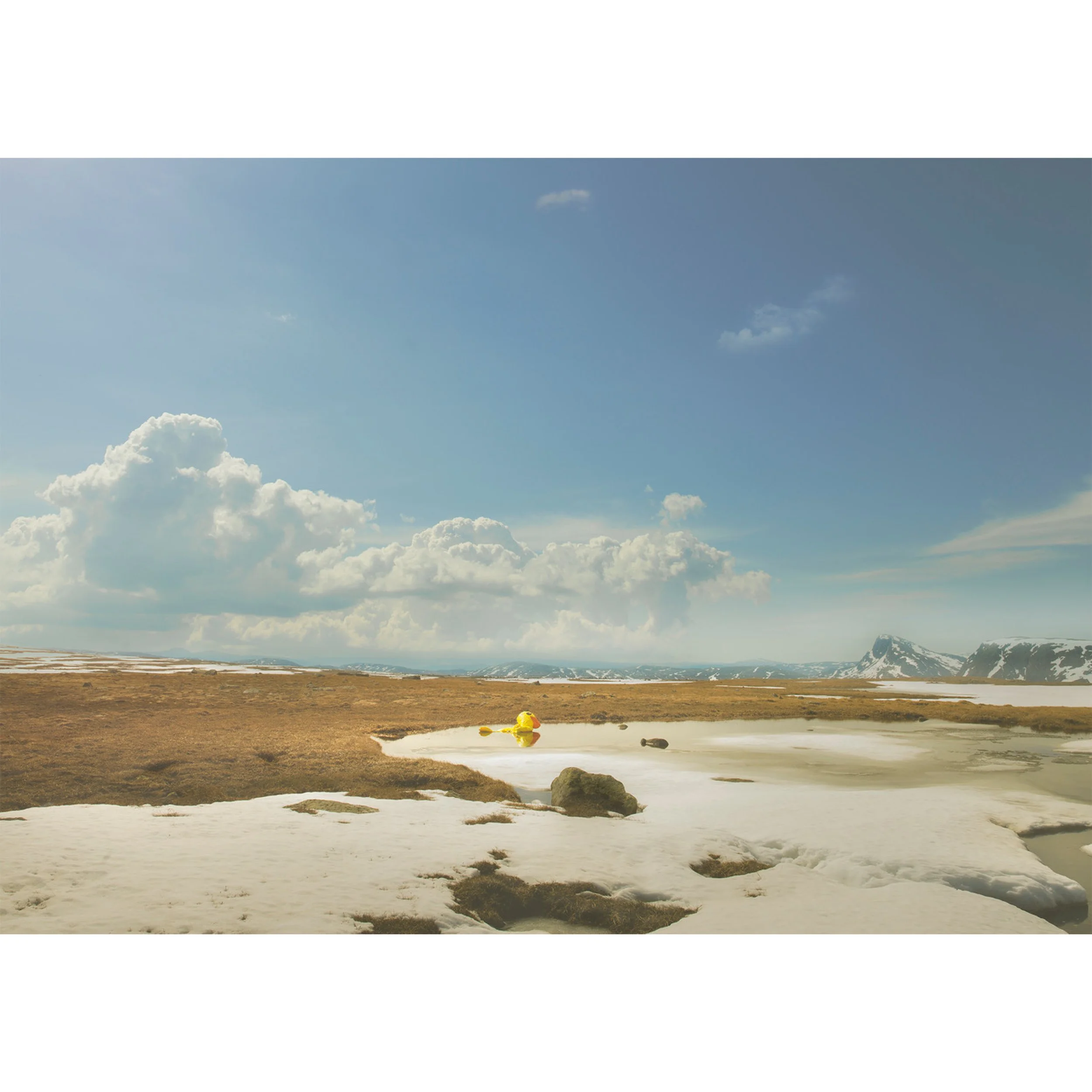 the yellow duck jørgensen4.jpg