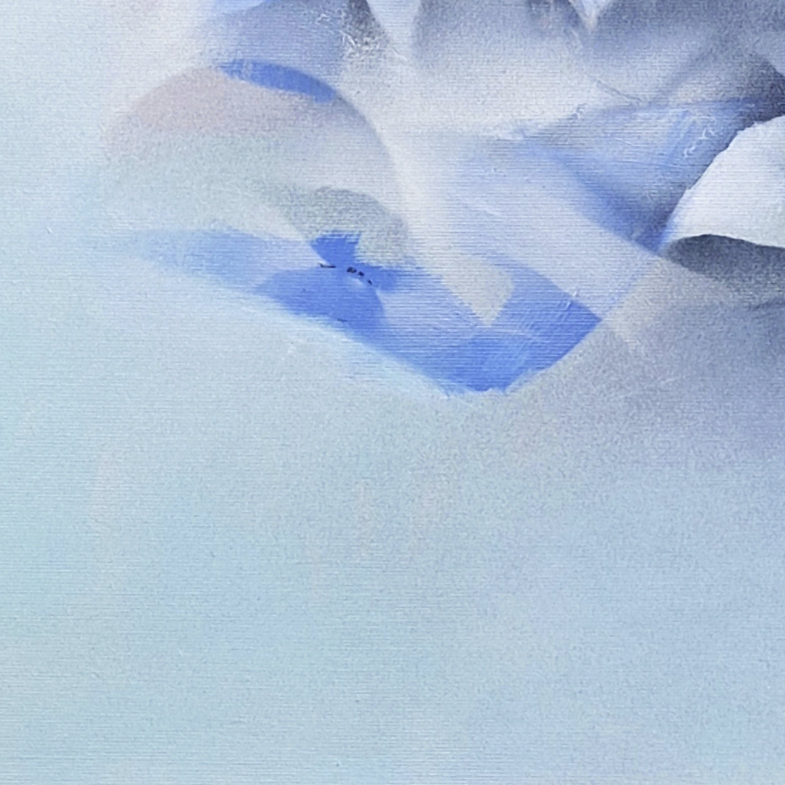 Munchx_Ingrid Louise Lindemann Flora Blu3.jpg