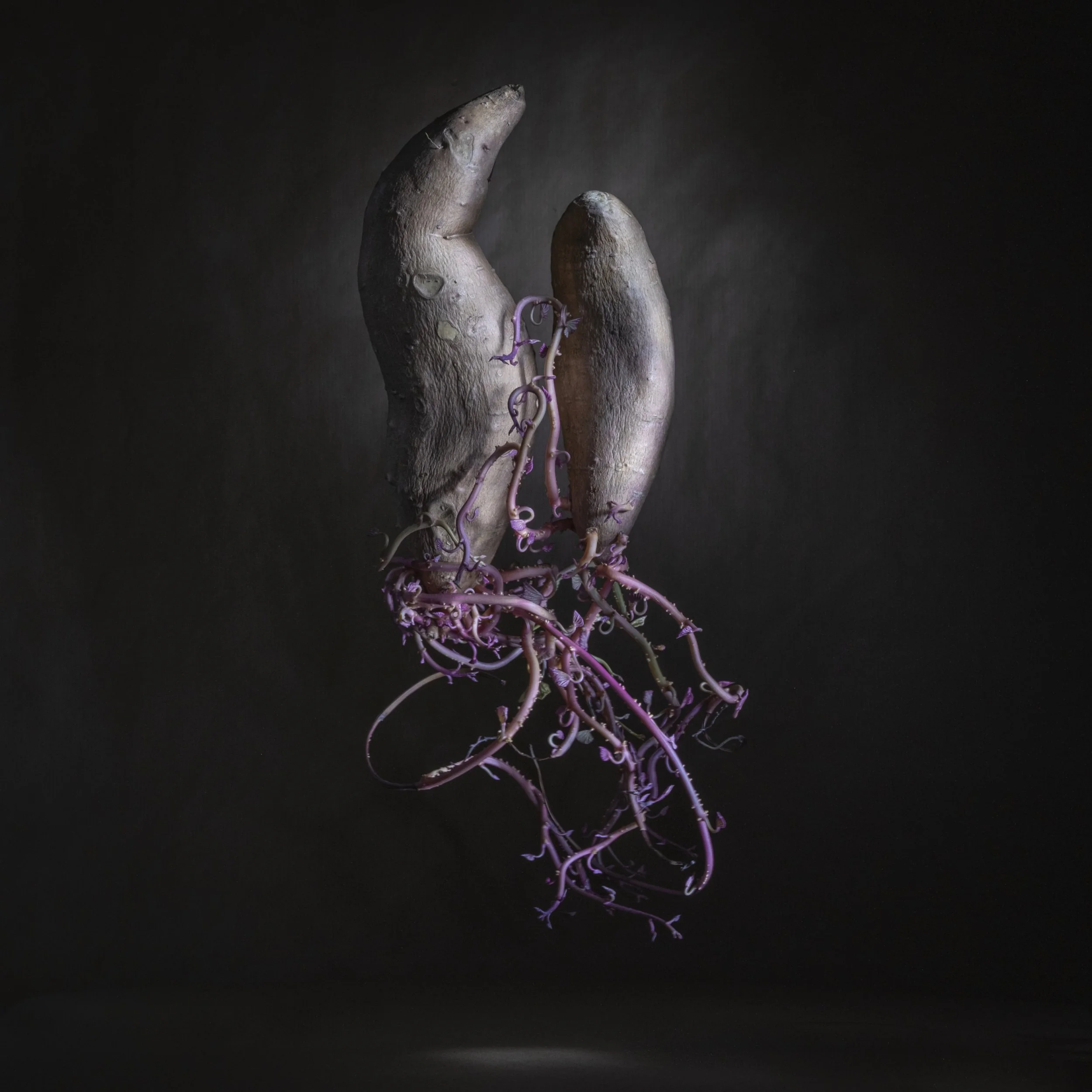 Munchx_Cecilie E Åserud Potatoes2.jpg