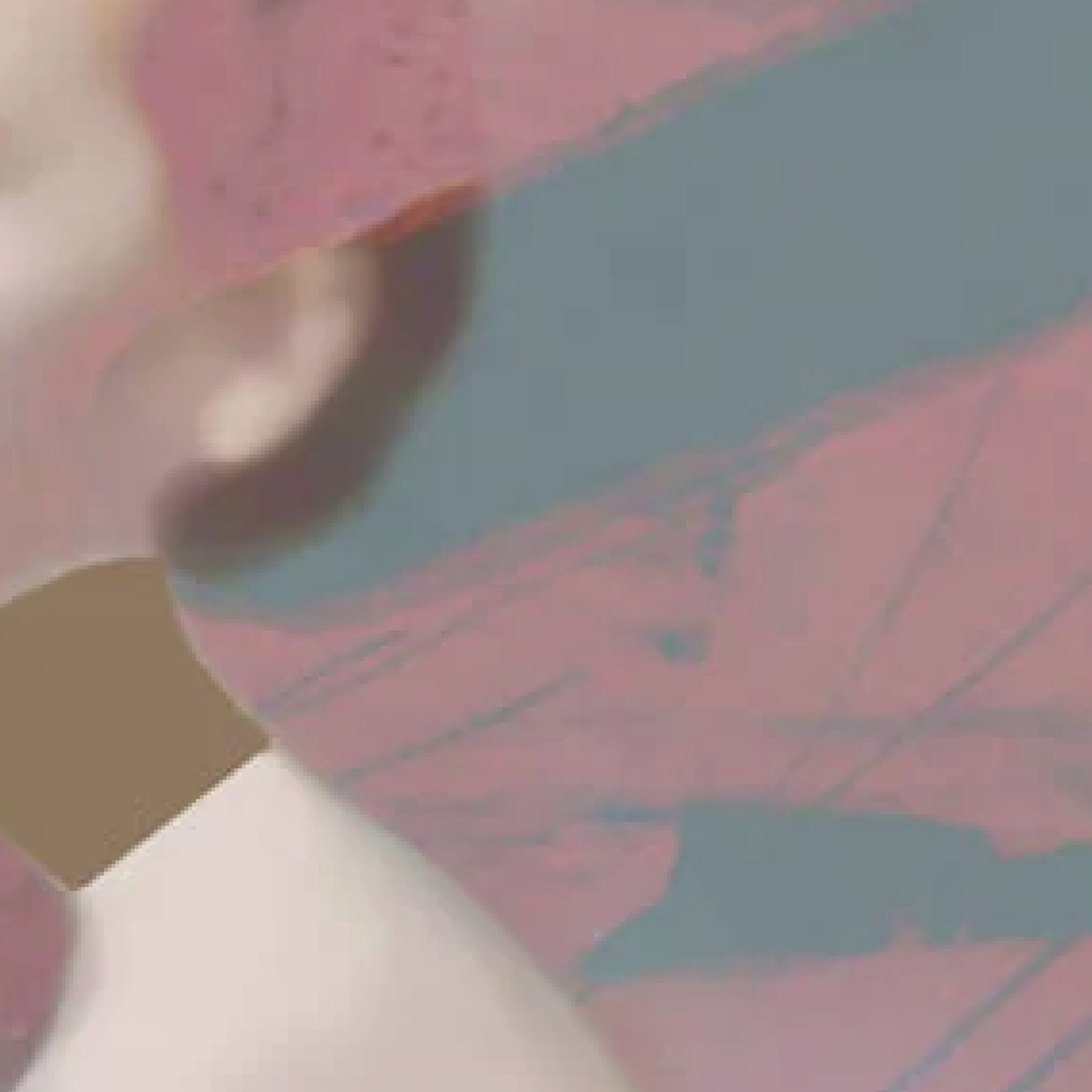 Munchx_Eva Christin Laska Golden chain3.jpg